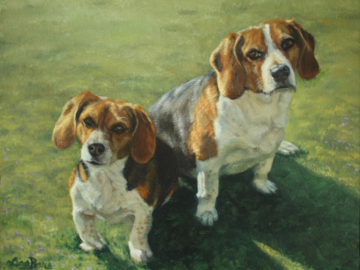 Beagles, 16x20" oil on canvas