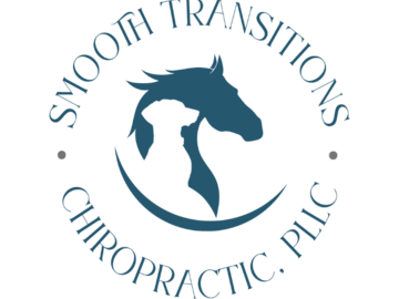 Smooth Transitions Chiropractic Logo