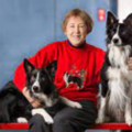 Barb Levenson Dog Training  - Oakmont, PA