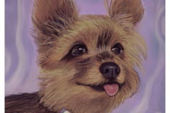 Request Quote: Pet Portraits by Phoebe Lee - Nationwide