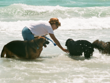 client and her dogs