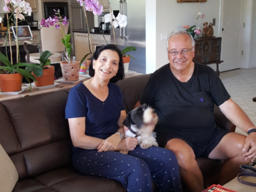 client and their dogs