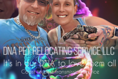 Request Quote: DNA Pet Relocating Service LLC - Pet Transportation  - Nationwide
