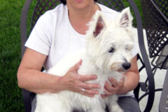 Request Quote: Joel's Professional Pet Services - Dog Obedience Training - Lake Park, NC
