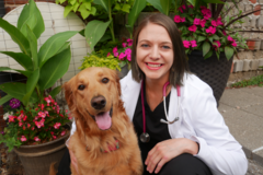 Request Quote: CodaPet In Home Pet Euthanasia - Omaha, NE