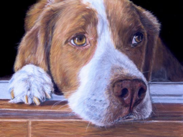 Pastel painting of a red and white dog