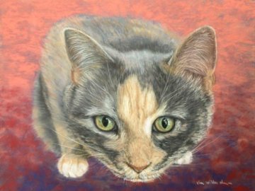 Pastel painting of a dilute tortoiseshell cat