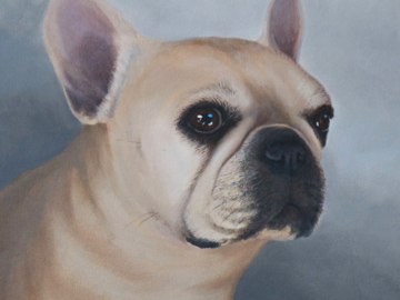 French Bulldog painting 16" x 20" by Heather Mitchell