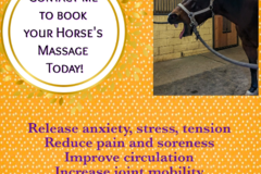 Request Quote: Rancho de las Reinas - Equine Massage Therapist  - Los Altos, CA