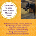 Rancho de las Reinas - Equine Massage Therapist  - Los Altos, CA