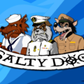 Salty Dogs Pet Services - College Station, TX