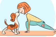 Request Quote: Simon Chiropractic - Licensed Animal Chiropractor - Scottsdale, AZ