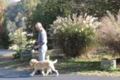 Request Quote: Durham Kennels - Puppy and Dog Certified Private Trainer - Berea, KY