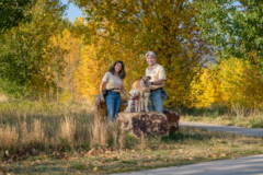 Request Quote: Canine Companion Consulting - Private Dog Trainers - Fort Collins, CO
