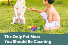 Request Quote: DoodyCalls - Pet Waste Removal  - Wilmington, NC