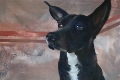 Request Quote: Jaimee Newman Contemporary Pet Portraits   - Nationwide