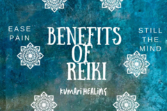 Request Quote: Madra Rua Wellness LLC - Certified Animal Reiki Practitioner - Louisville, KY