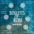 Madra Rua Wellness - Animal Reiki Practitioner - Louisville, KY