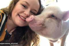 Request Quote: Maria Lewis - Animal Intuitive and Animal Communicator - Nationwide