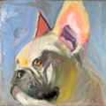J. Alaz Dog Art - Pet Portrait Artist  - Nationwide