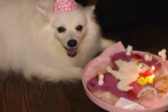 Request Quote: Kaoru Johnson - Clinical Pet Nutritionist  - Nationwide