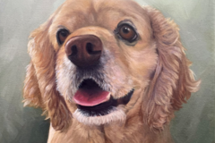 Request Quote: Cherie’s Canvas - Pet Portrait Artist - Painted Art of Pets - Nationwide