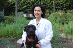 Request Quote: CodaPet In Home Pet Euthanasia - Los Angeles, CA