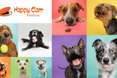 Request Quote: Happy Clam Studios - Pet Photography - Charleston, SC
