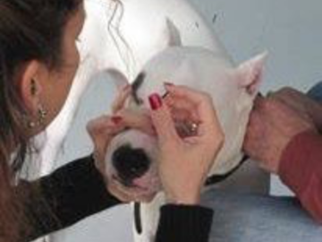 Acupuncture