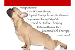 Request Quote: AcuVetDoc - Animal Chiropractic Care - West Palm Beach, FL