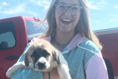 Request Quote: Alpha Team Animal Transport - Pet Transportation Service - Nationwide