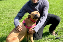 Request Quote: Pawsitively Pampered - Pet Sitting Services - New York, NY