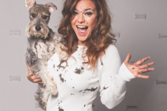 Request Quote: Shaggy Chic Pet Services - Pet Sitting and Dog Care - Houston, TX