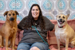 Request Quote: El's Pet Sitting & Dog Training - Richfield, UT