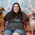 El's Pet Sitting & Dog Training - Venice, UT