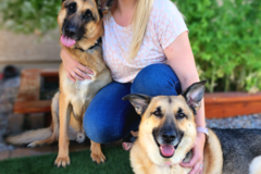 Request Quote: CodaPet - In Home Pet Euthanasia  - Phoenix, AZ