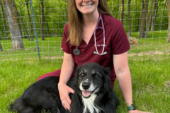 Request Quote: CodaPet - In Home Pet Euthanasia  - Des Moines, IA