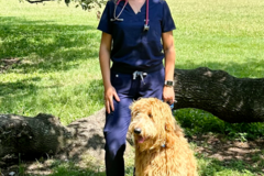 Request Quote: CodaPet - In Home Pet Euthanasia - New Orleans, LA