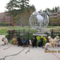 Canine Learning Center - Certified Dog Trainer - Westfield, MA