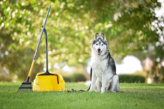 Petworks Concierge - Pooper Scooper Services - Pittsburgh, PA