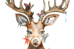 Request Quote: Irena Dordevic - Custom Pet Art Portraits  - Nationwide