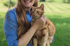 Request Quote: CodaPet - In Home Pet Euthanasia - Naperville, IL