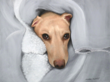 "Sophie" 16" x 20" pastel painting of a dog by artist Heather Mitchell.