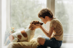 Pet Bereavement Support - Chicago, IL