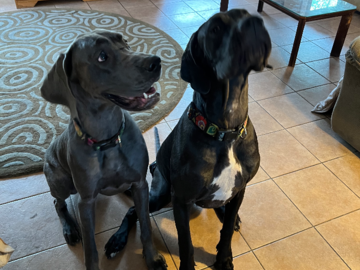 Stevie and Connie look forward to their massages