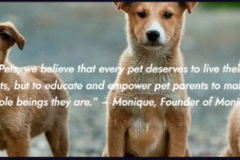 Request Quote: Calming Organic Homeopathic Animal Medicine - Nationwide