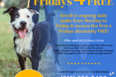 Request Quote: Fetch! Pet Care - Dog Walking and Pet Sitting - Chicago, IL