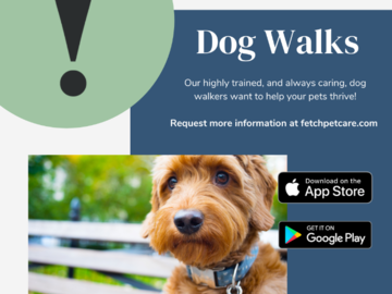 dog walks