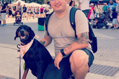 Request Quote: Platinum Private Dog Training - Des Moines, IA