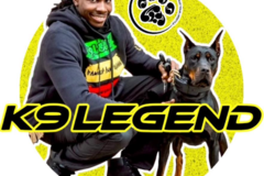 Request Quote: K9 Legend Family Dog Training and Aggression Rehab  - Salisbury, MD